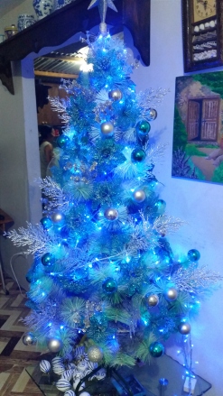 Our tree (finished version). So we stayed true to our theme and the color scheme that we had in mind. Decided to use blue LED lights as my niece said it looked like Frozen (the movie). 